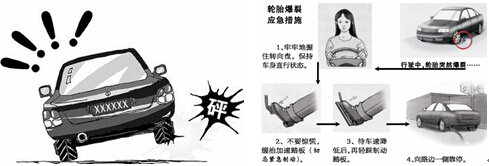 預(yù)防交通事故 確保春運安全 6