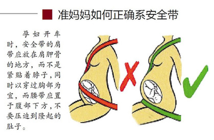 安全帶=生命帶 不系安全帶有多危險 7